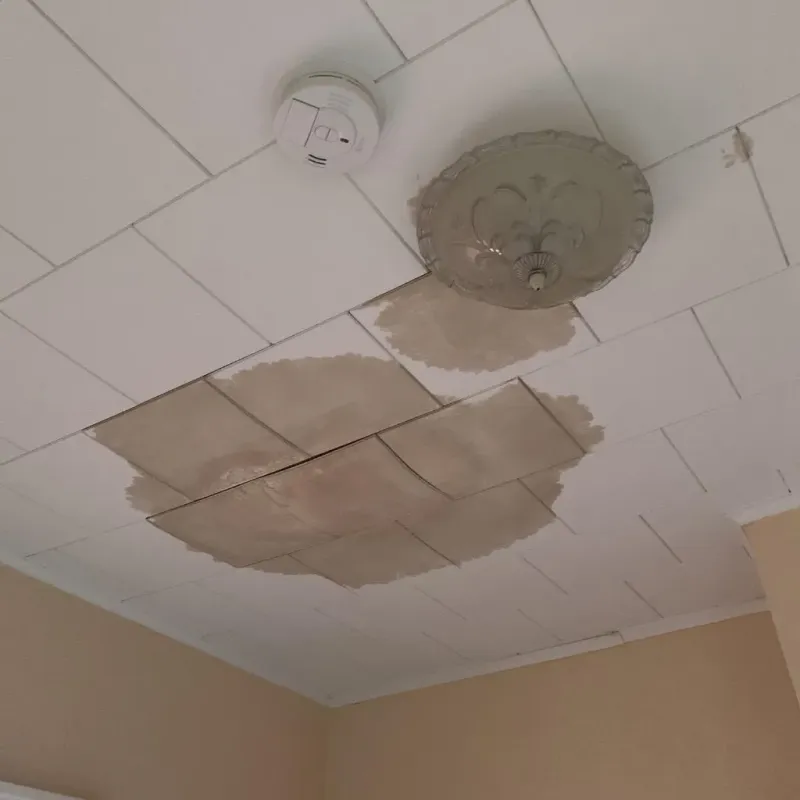 Ceiling Water Damage Repair in Iowa Park, TX
