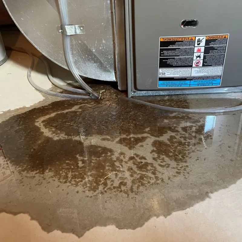 Pipe Burst and Leak Restoration in Iowa Park, TX