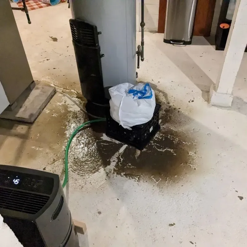 Sewage Backup Cleanup Service in Iowa Park, TX